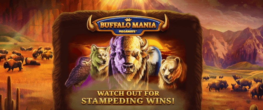 Buffalo mania megaways