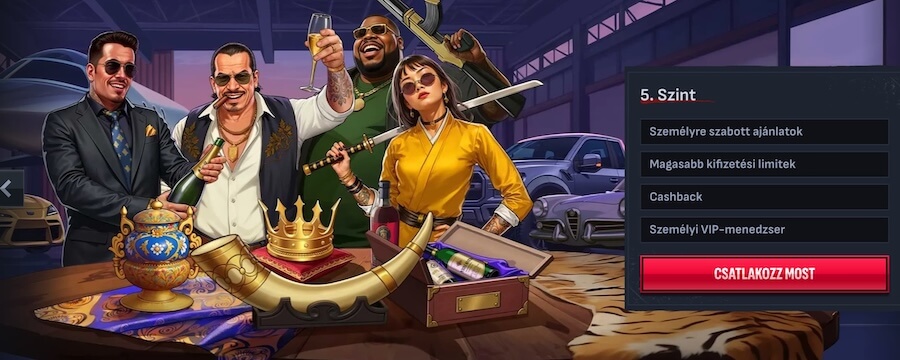 VIP program